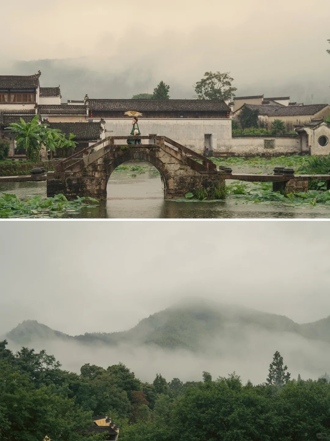 北方人总能反复爱上江南烟雨_3_九尾鸭_宏村西递-古镇-来自52tours 我爱旅游网